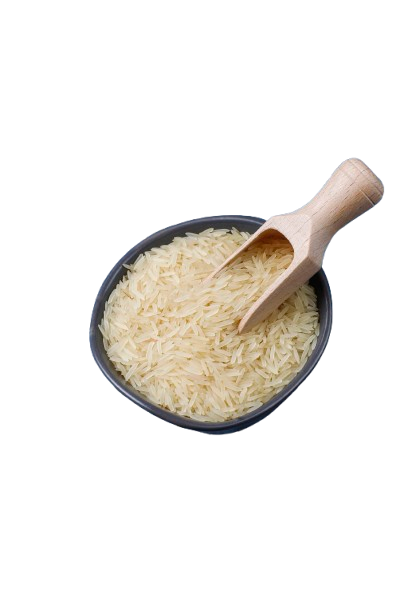 1401 Basmati Rice exported by Satnaam Exim India