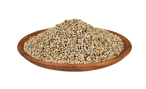 Pearl Millet Bajra exported by Satnaam Exim India