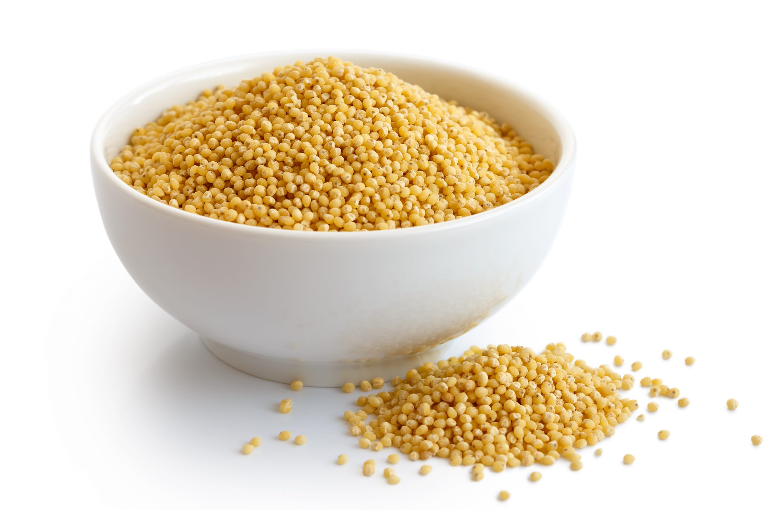 Foxtail Millet exported by Satnaam Exim India