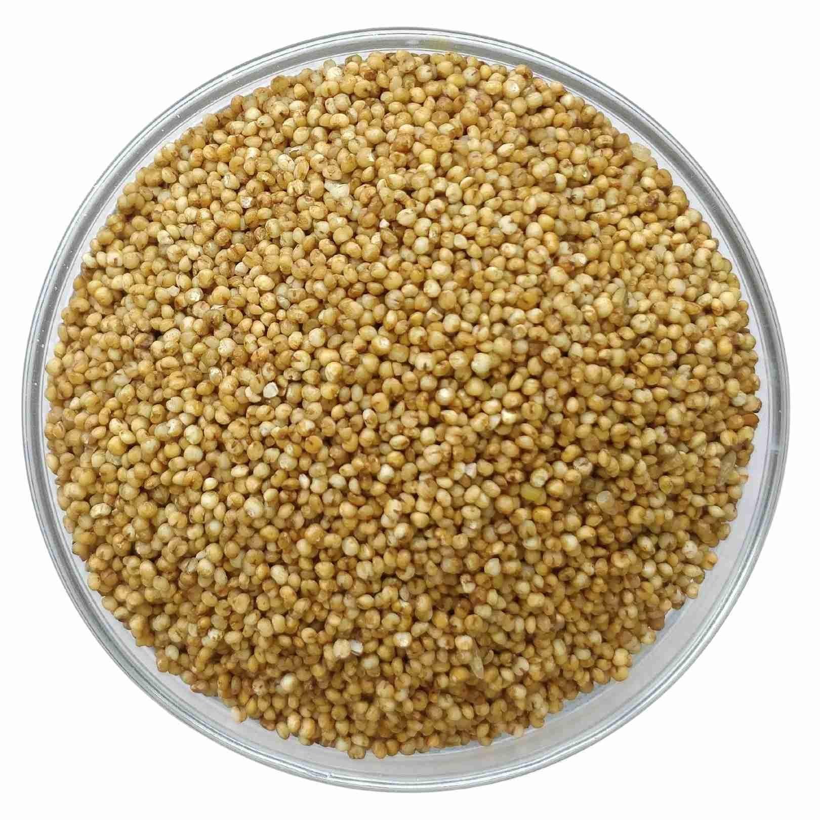 Kodo Millet exported by Satnaam Exim India